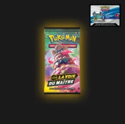 Codes JCC Pokémon Booster La Voie du Maître