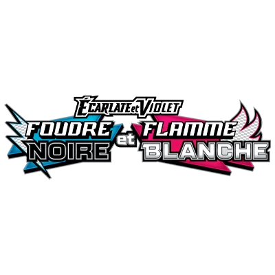 Foudre noir et Foudre Blanche Pokémon